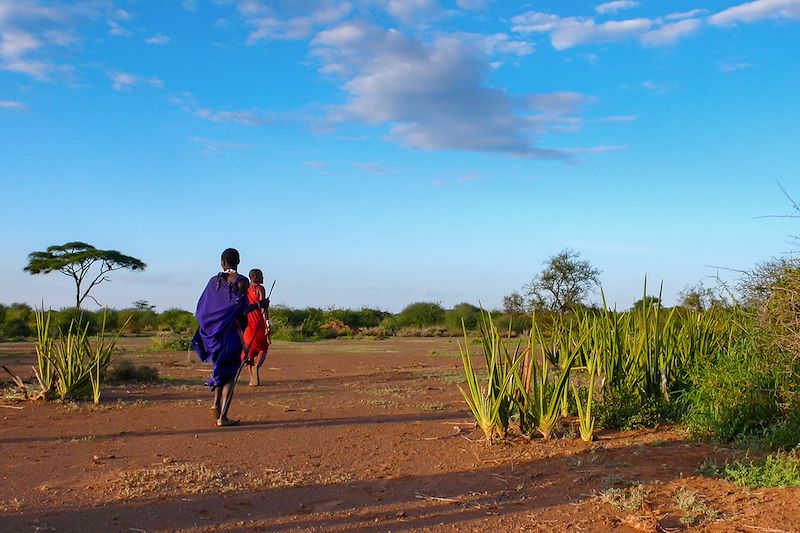 Safari en famille dans les plus beaux parcs de Tanzanie (Serengeti, NGorongoro, Tarangire), découvertes locales & nuits en lodges 