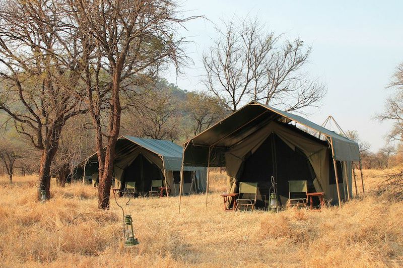 Serengeti View Camp - Serengeti - Tanzanie