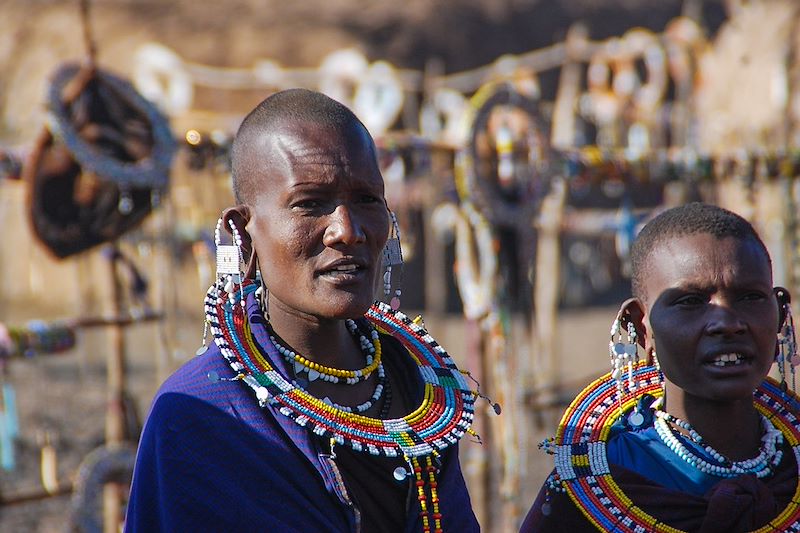 Safari privé en Tanzanie avec guide francophone, du lac Manyara au cratère Ngorongoro, via le parc Tarangire et Zanzibar