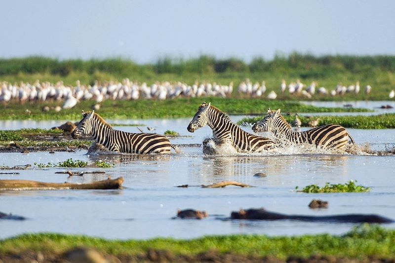 Safari privé en Tanzanie avec guide francophone, du lac Manyara au cratère Ngorongoro, via le parc Tarangire et Zanzibar