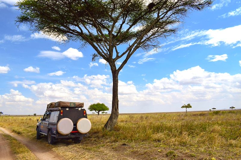 Safari privé en Tanzanie avec guide francophone, du lac Manyara au cratère Ngorongoro, via le parc Tarangire et Zanzibar