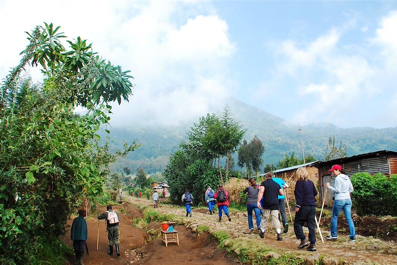 Découverte de l'Ouganda en randonnées au plus près de la vie locale, observation des primates et safaris dans les parcs nationaux