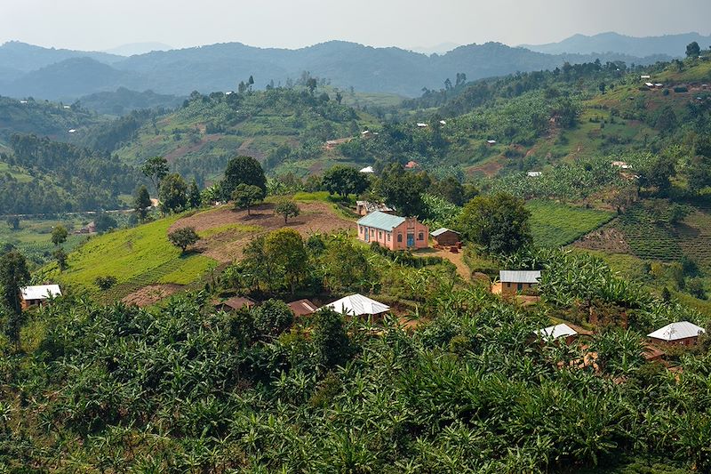 Découverte de l'Ouganda en randonnées au plus près de la vie locale, observation des primates et safaris dans les parcs nationaux