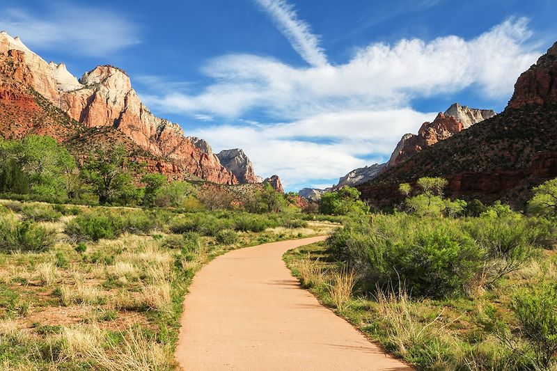 Chemin accessible aux PMR - Parc national de Zion - États-Unis