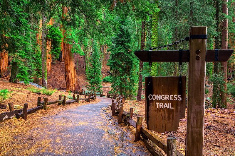 Congress Trail - Parc national de Sequoia - États-Unis