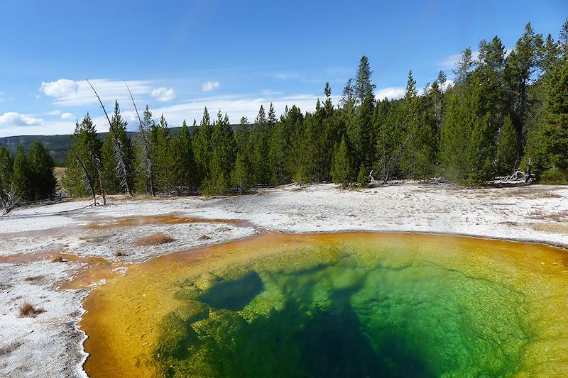 Geyser dans le parc national de Yellowstone - Etat du Wyoming - Etats-Unis