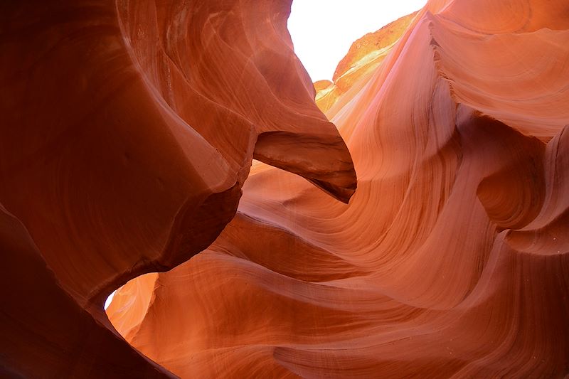 Voyage dans l'Ouest Américain sur 3 semaines de San Francisco à Yellowstone, via Yosemite, Zion, Monument Valley & Grand Canyon