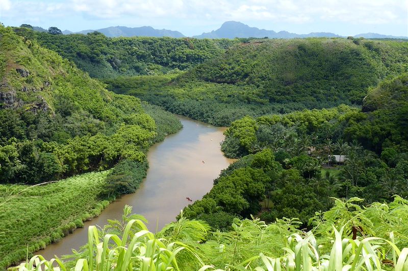 Wailua River - Kauai - Hawaï