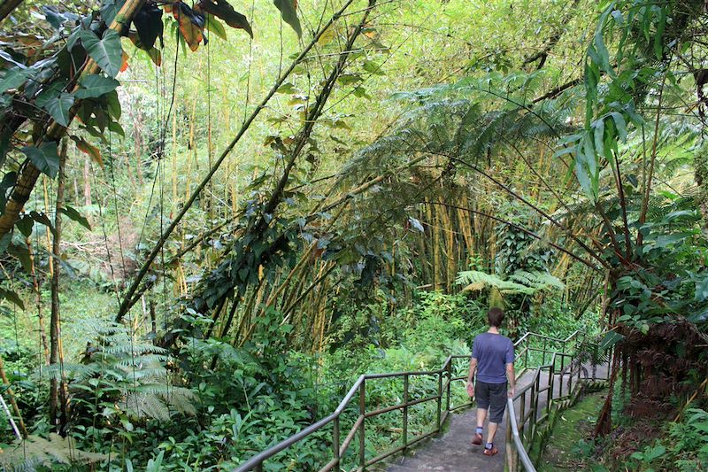 Akaka Falls - Big Island - Hawai - États-Unis