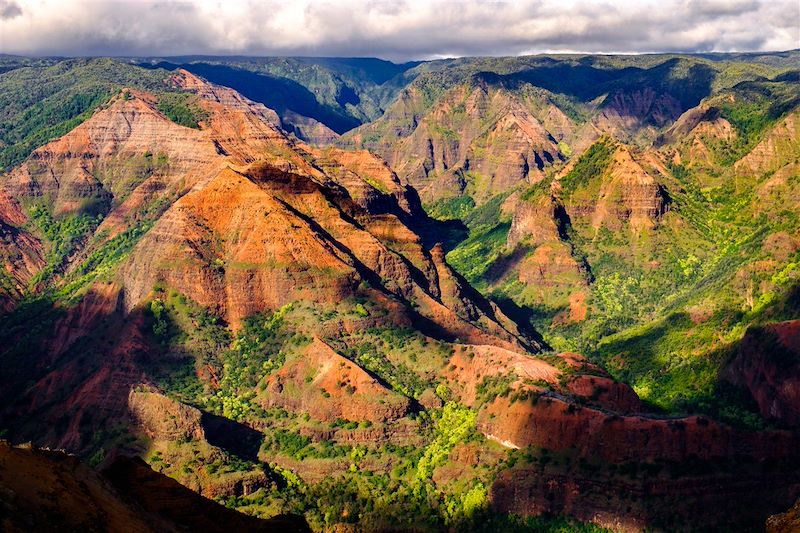 Waimea canyon - Kauai - Hawaï