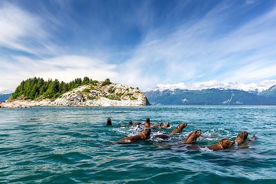 voyage Inside Passage