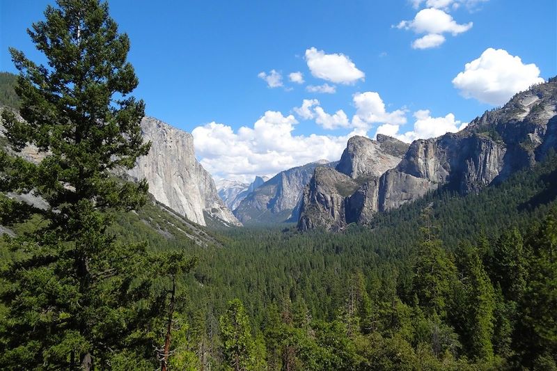 Parc national de Yosemite - États-Unis