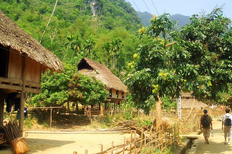 Réserve naturelle de Pu Luong - Province de Thanh Hóa - Vietnam