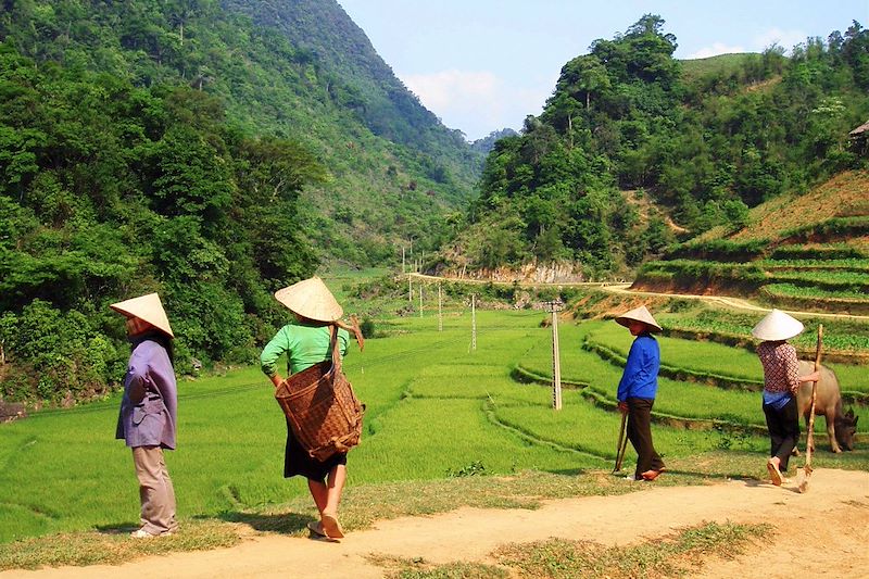 Partez pour un circuit à vélo sur les routes du Nord du Vietnam. Une aventure entre montagnes et rizières