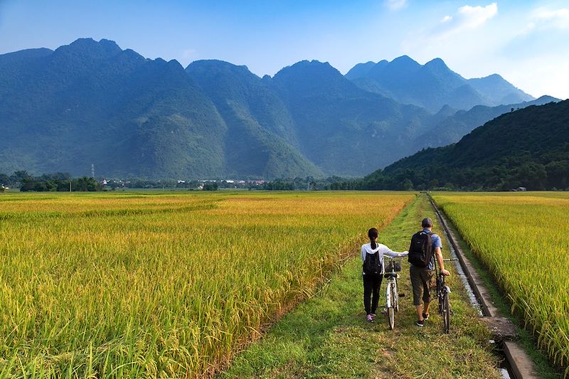 Partez pour un circuit à vélo sur les routes du Nord du Vietnam. Une aventure entre montagnes et rizières