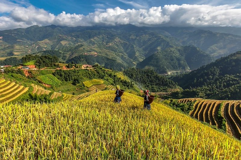 21 jours pour traverser le Vietnam du Nord au Sud avec alternance de trek, visites et balades en bateaux.