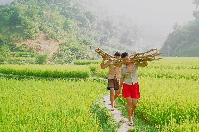 Essentiels du nord : Hanoi, Mai Chau en rando tranquille et nuits chez l'habitant, Pu long et les deux baies d'Halong