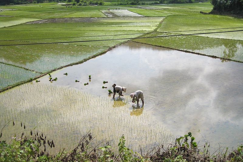 Essentiels du nord : Hanoi, Mai Chau en rando tranquille et nuits chez l'habitant, Pu long et les deux baies d'Halong