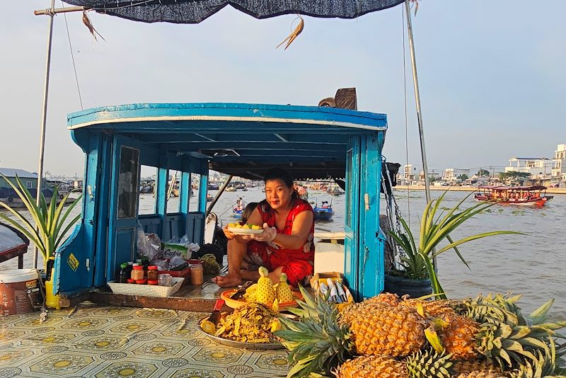 Découverte de Hanoi, la Baie d'Halong, Hué, Hoi An et le Delta du Mékong