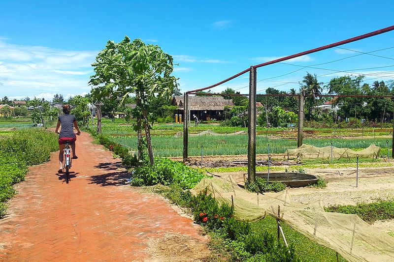 Balade culinaire au Vietnam au cœur du Tonkin, annam et cochinchine 