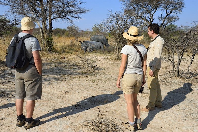 Matobo Hills - Province de Matabeleland méridional - Zimbabwe