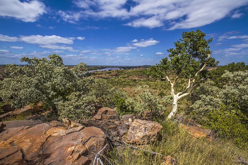 Parc National du Mapungubwe - Afrique du Sud