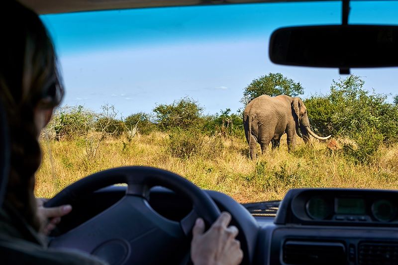 Autotour au Parc national Kruger - Afrique du Sud