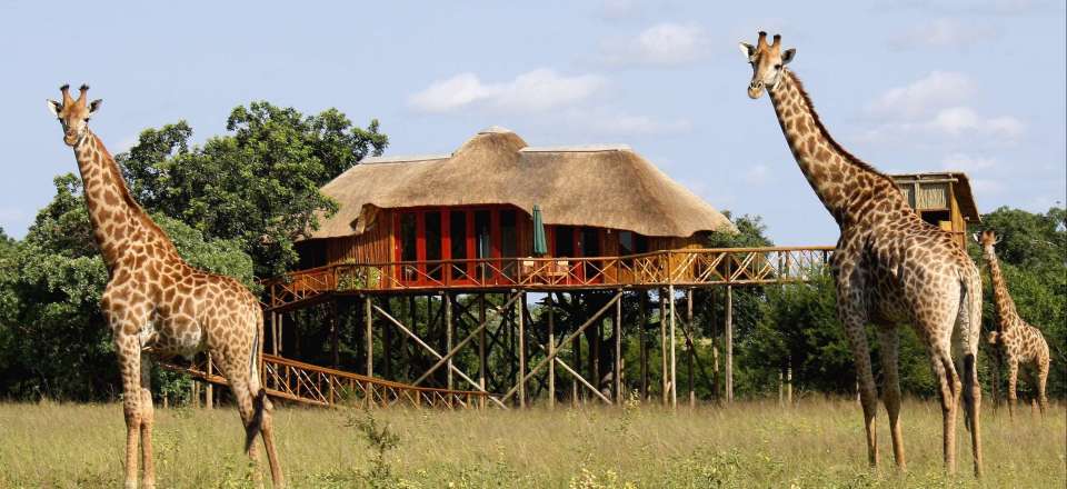 Voyage Découverte Afrique du Sud : Safari et rando en ...