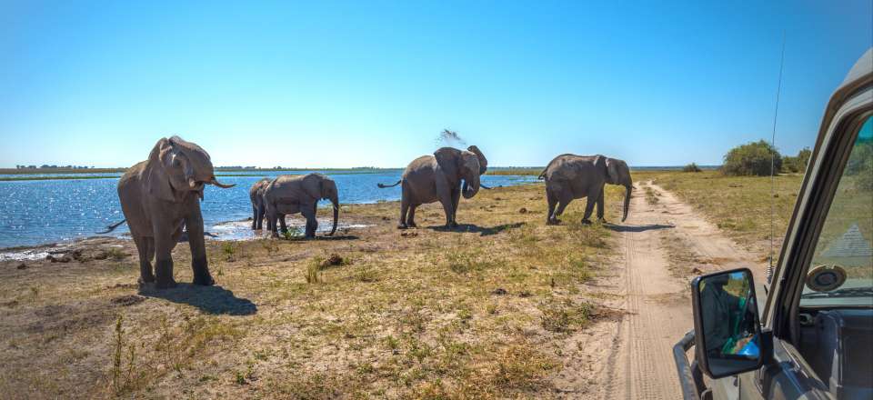 2000 km de pistes au cœur de territoires sauvages depuis l'Afrique du Sud jusqu'au Zimbabwe, avec la grande traversée du Botswana.