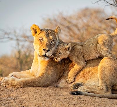 Voyages en famille Afrique du Sud