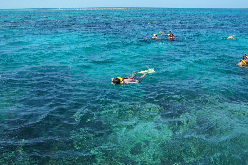 Snorkeling - Floride