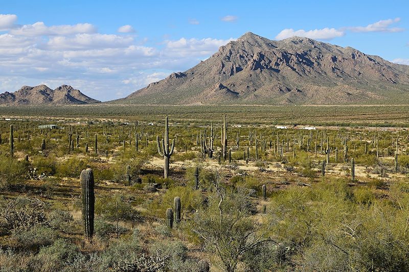 Sommet Picacho - Arizona - États-Unis