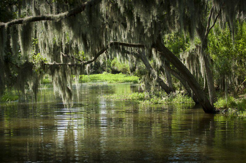 Louisiane - Etats-Unis