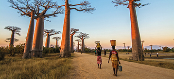 voyage MADAGASCAR