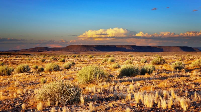 Le désert du Kalahari © Dmitry Pichugin/Fotolia.com