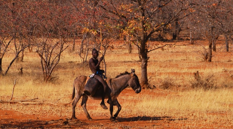 Homme himba sur son âne © Yann Guiguen/Nomade Aventure