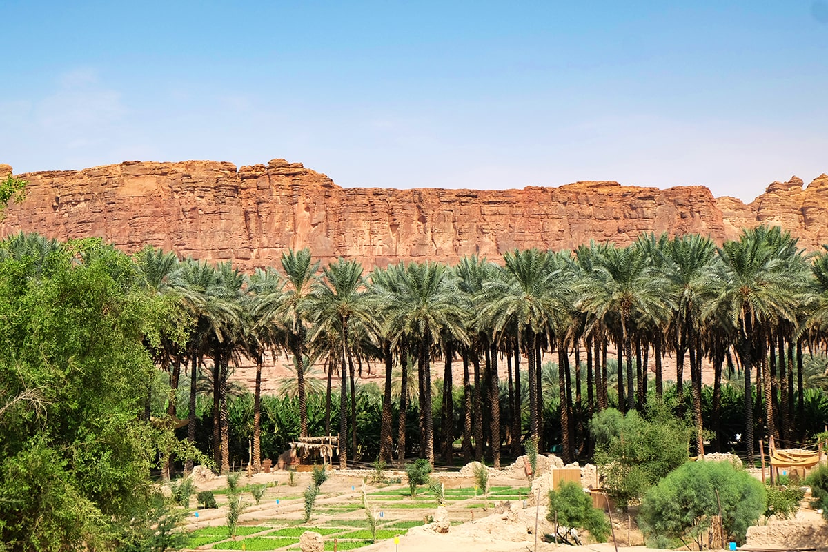 L’oasis d’AlUla © Léonie Deltombe/Nomade Aventure