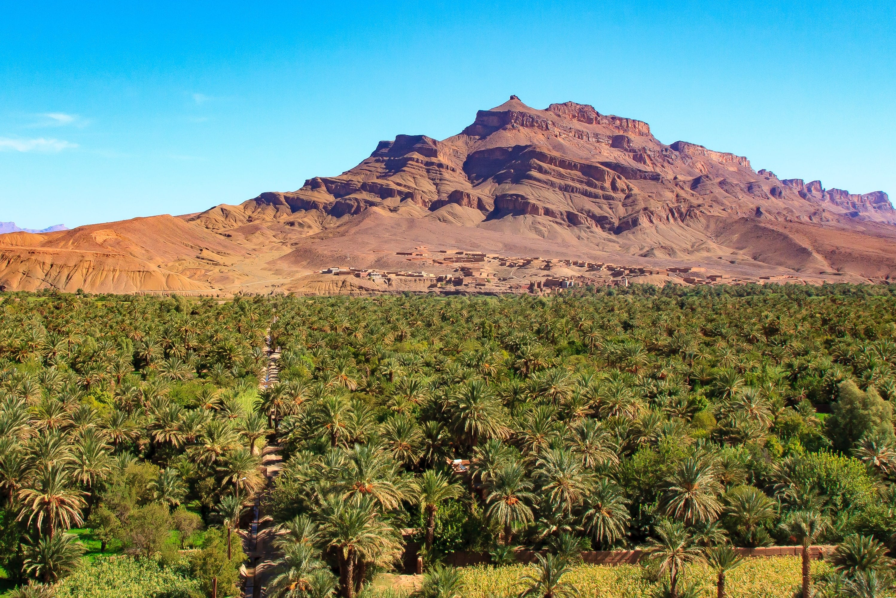 La vallée du Drâa au Maroc © jefwod/stock.adobe.com