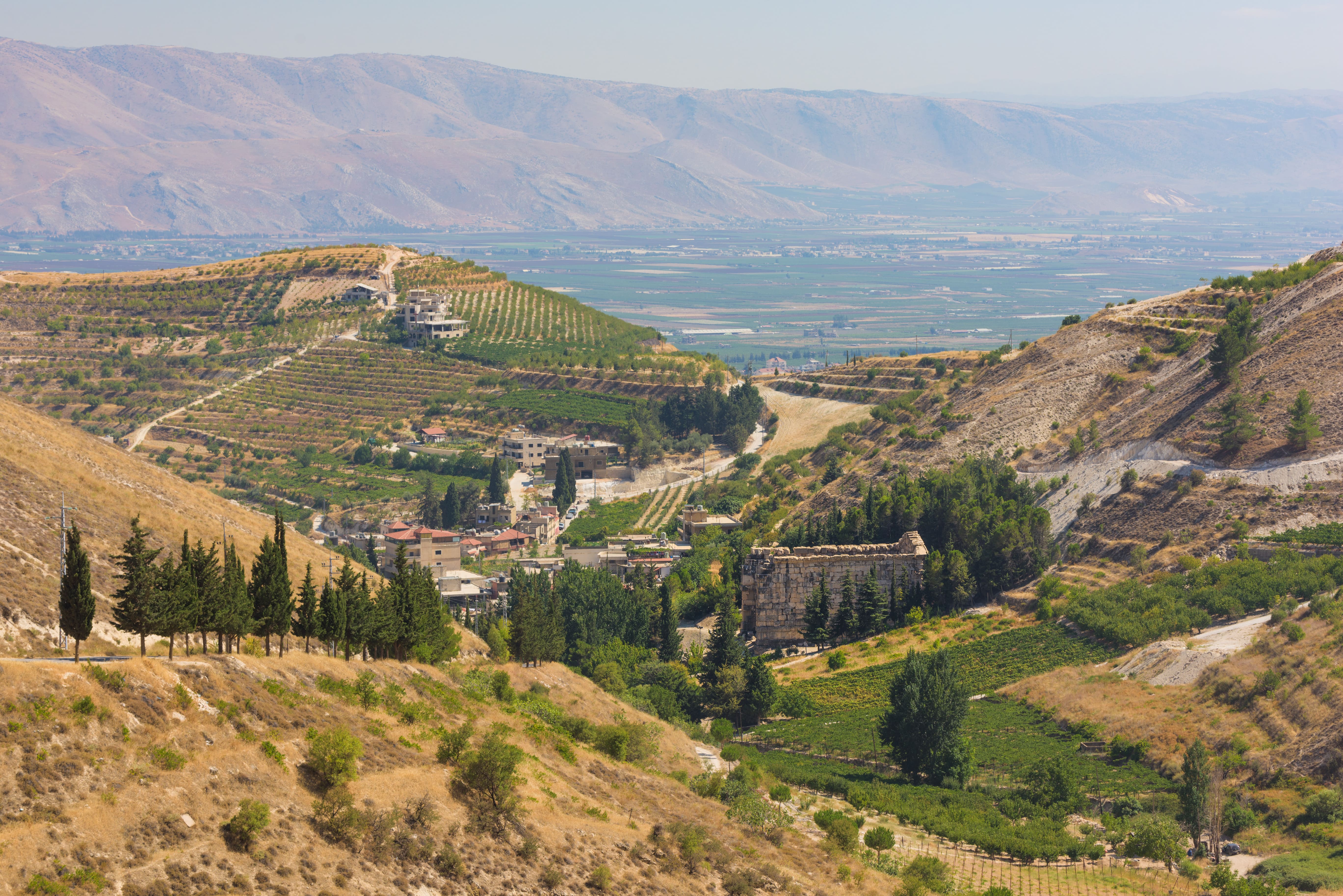 La plaine de la Bekaa, ses vignobles et le temple romain de Niha au Liban © Em Campos/stock.adobe.com