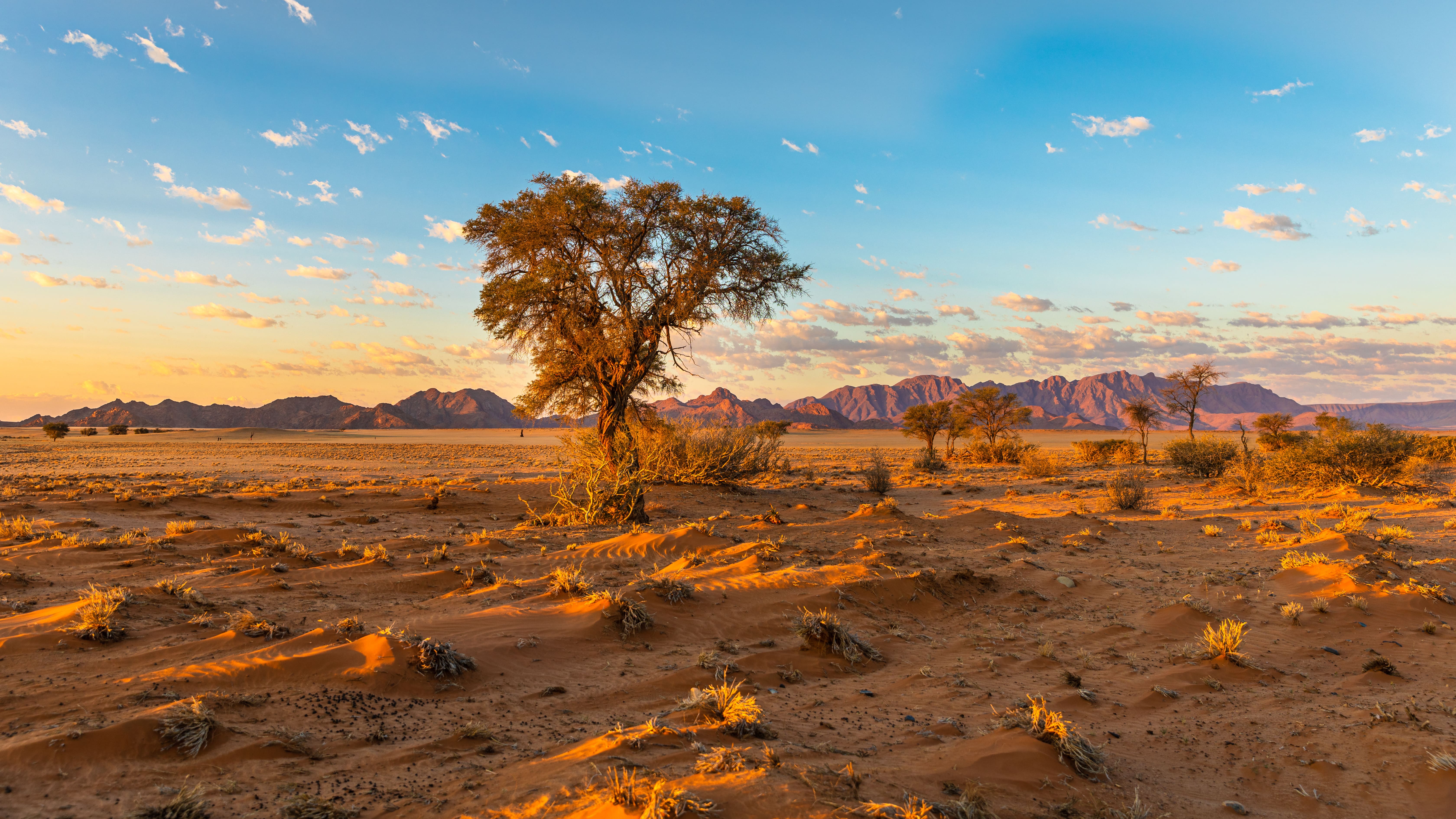 Le désert près de Sesriem et les montagnes de Naukluft en toile de fond ©Gunter/stock.adobe.com