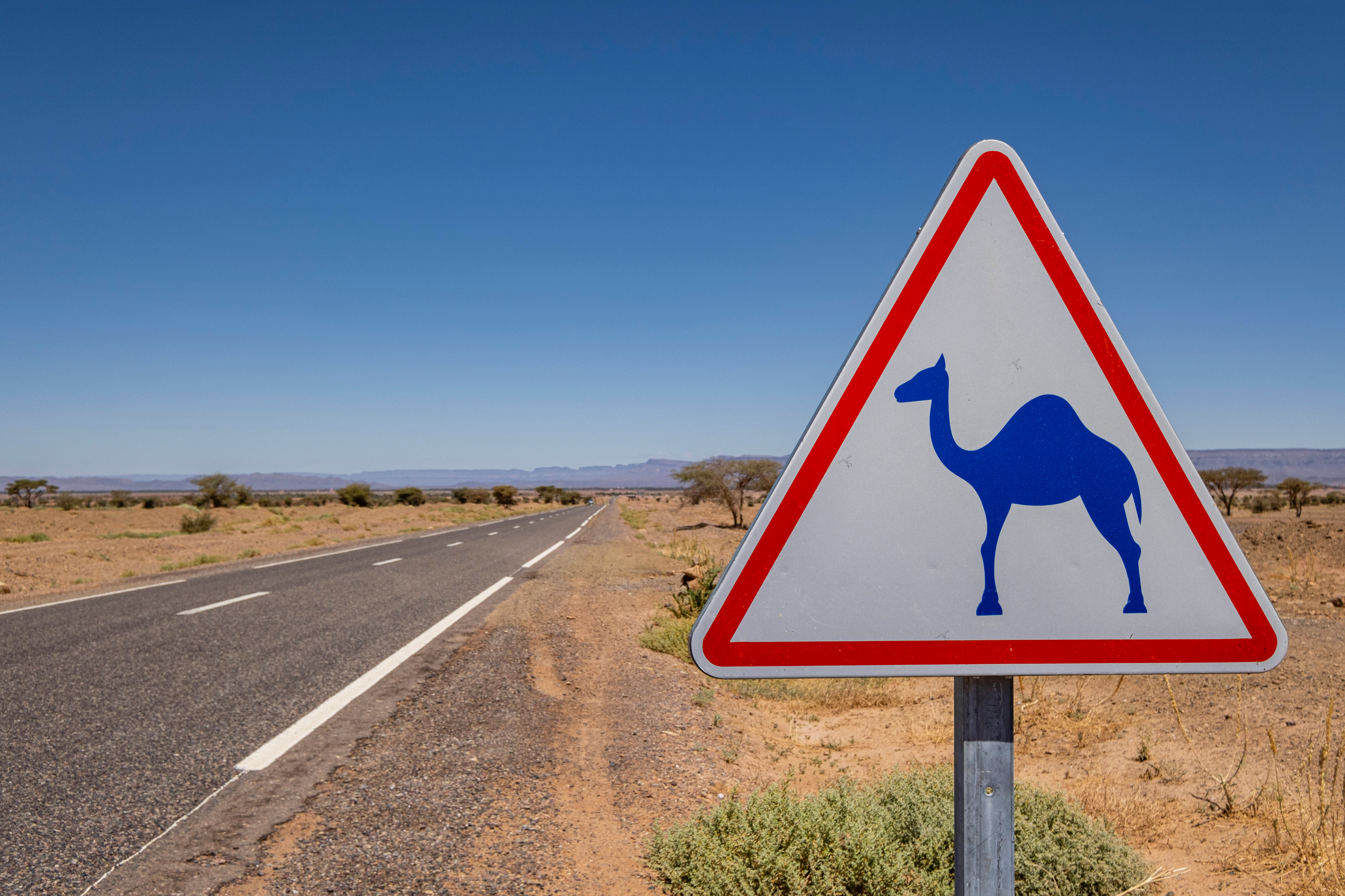 La route de M'Hamid dans la région de Zagora au Maroc © Tolo/stock.adobe.com