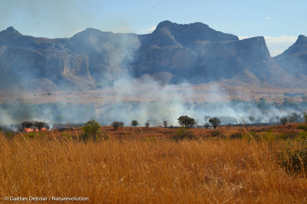 Feux de brousse dans le Makay © Gaëtan Deltour/Naturevolution