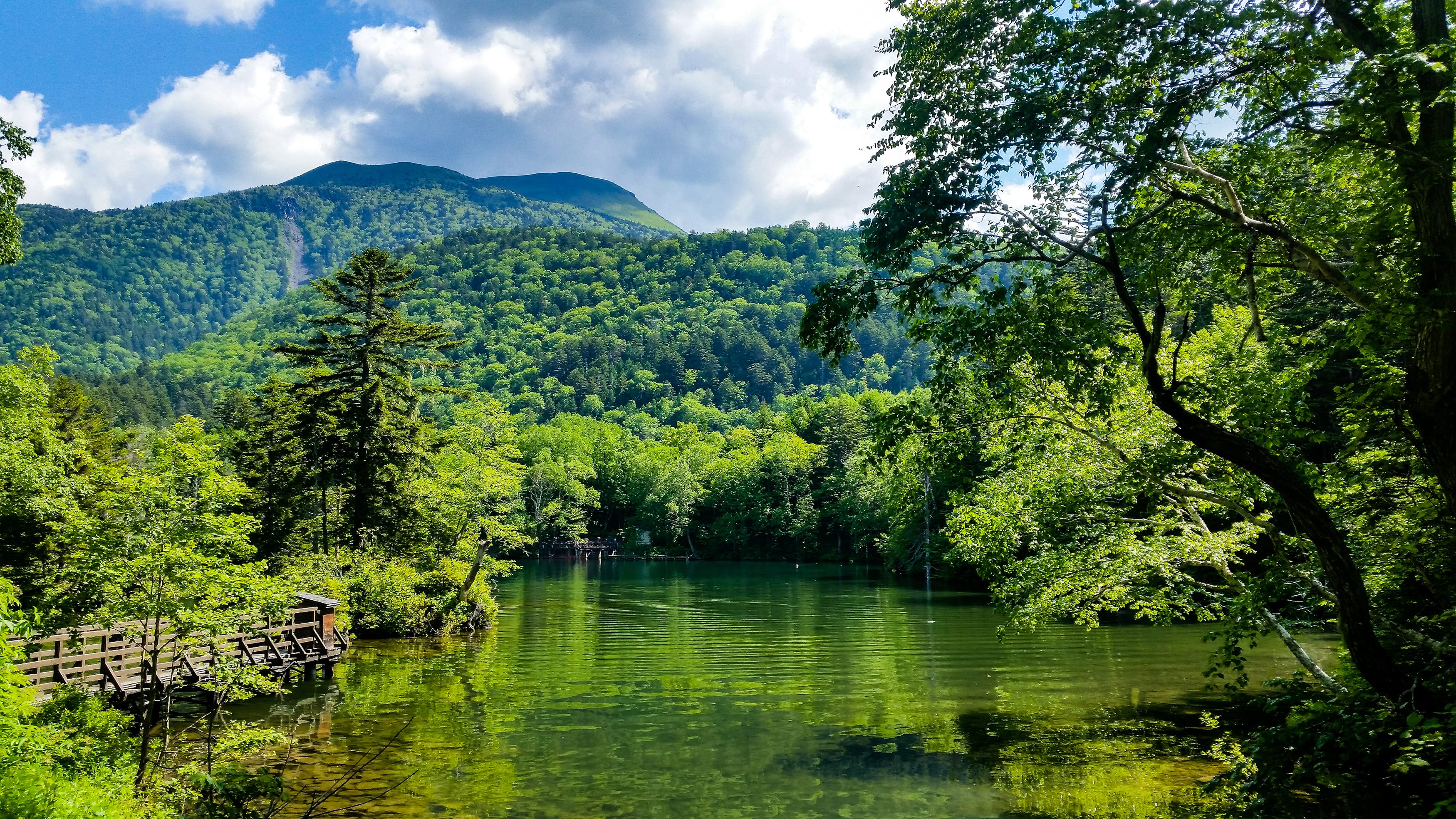 Le parc national d'Akan à Hokkaido © Ooriya/stock.adobe.com