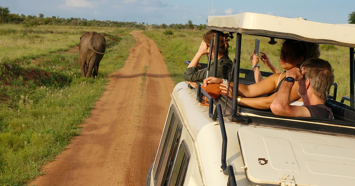 Voyage : quel pays pour un safari photo en Afrique ?