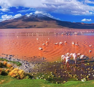 Un voyage, trois pays, mille couleurs : de l’Atacama chilien au Nord-Ouest argentin, via le Sud Lipez bolivien… Époustouflant !