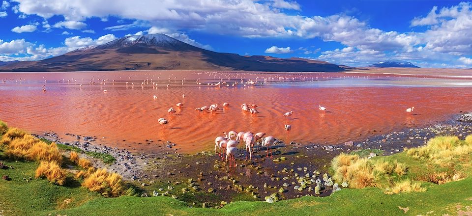 Un voyage, trois pays, mille couleurs : de l’Atacama chilien au Nord-Ouest argentin, via le Sud Lipez bolivien… Époustouflant !