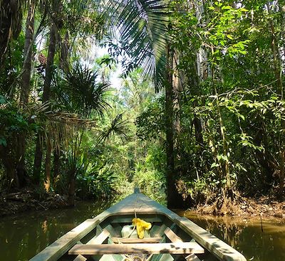 Expédition unique à travers la jungle, des Andes péruviennes au delta brésilien de l’Amazone, via une Bolivie insoupçonnée...