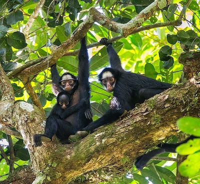 Un road trip au Brésil de 3 semaines de l’Amazonie aux villes de Paraty, Rio, Salvador de Bahia et fin à la plage Praia do Forte 