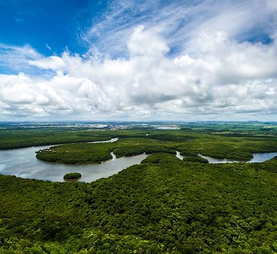 Au départ de Manaus, vous partirez cinq jours en croisière pour explorer le fleuve Rio Negro à bord d'un bateau traditionnel