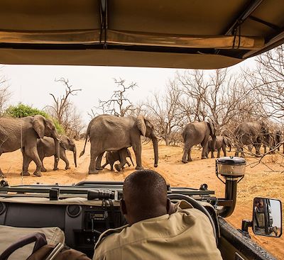 Les plus beaux parcs animaliers en Zambie, Botswana, Zimbabwe : South Luangwa, Lower Zambezi, Chobe, Okavango, Hwange
